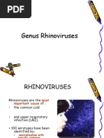 Rhino Viruses