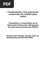 Ensayo de La Fundamentacion Del Pep-2004