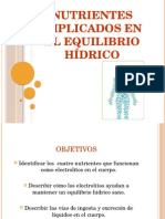 Nutrientes Implicados en El Equilibrio Hídrico