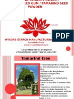 Tamarind Kernel Powder by Mysore Starch Manufacturing Company