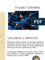 Plasticidad Cerebral