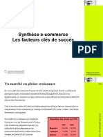 Synthese Ecommerce