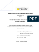 Bebidas Gaseosas PDF