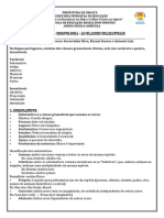 Mini Apostila de Gramatica PDF