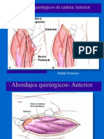 Abordajes Quirurgicos de Cadera