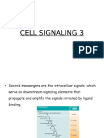 Cell Signaling 3