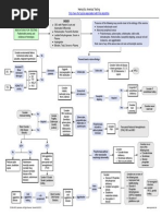 Hemolytic Anemia S