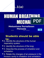 1.1 Human Breathing Mechanism (A)