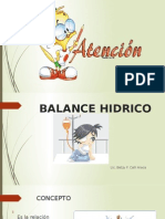 Balance Hidrico Betzy