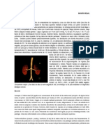 Infarto Renal