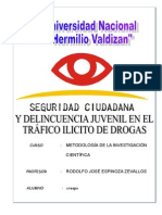 Seguridad Ciudadana y Delincuencia Juvenil