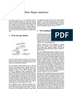 Zinc Finger Nuclease