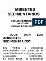 Ambientes Sedimentarios