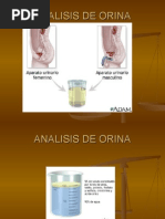 Analisis de Orina