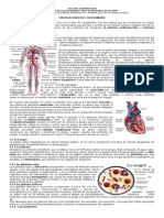 Guia Circulacion Humana