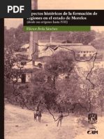 Aspectos Históricos de La Formación de Regiones en El Estado de Morelos (Desde Sus Orígenes Hasta 1930)