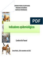 1 - Indicadores Epidemiolgicos - Carolina Traesel