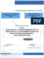 Analyse de La Performance de La Gestion de La Trésorerie Dans Les Institutions Financieres