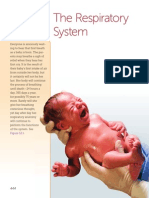 Chapter12 Respiratory System