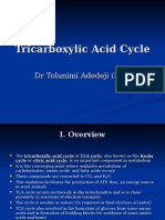 9 Tca Cycle