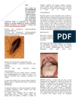 As Doenças Sexualmente Transmissíveis