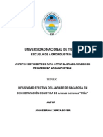 Anteproyecto Tesis Efectividad de La Deshidratacion Osmotica