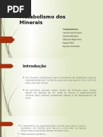 Metabolismo Dos Macrominerais