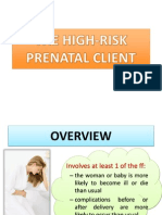 The High Risk Prenatal Client