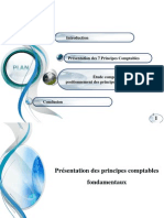 Principes Fondamentaux de La Comptabilite Generale