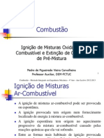 Combustão-Ignicao e Inflamabilidade