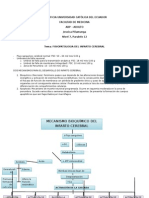 Fisiopatologia de Infarto Cerebral