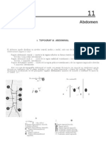 Abdomen de Shively by Nano Word