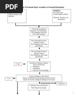 Pathophysiology of Neonatal Sepsis Secondary To Neonatal Pneumonia