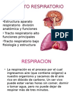 Aparato Respiratorio