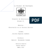 Proyecto de Observacion Preescolar USAER