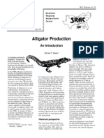 Alligator Production An Introduction