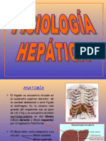 Fisiologia Hepatica