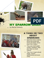 My Sparrow Gran - Berlie Doherty