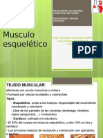 Musculo Estriado