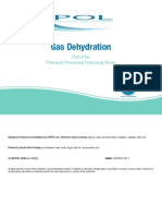 Gas Dehydration PDF