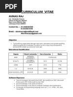 Curriculum Vitae: Avinas Raj