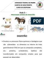 Aula 2 - Processo Digestivo Animal