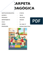 Carpeta Pedagogica