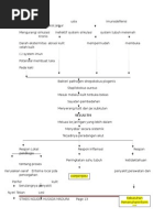 Woc Silulitis