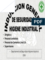 Induc. de Seguridad Cemento Lima