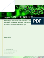 Cancer Nanotechnology Plan