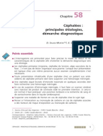 Cephalees Principales Etiologies Demarche Diagnostique PDF