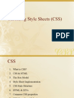 Cascading Style Sheets (CSS) : The Basics of