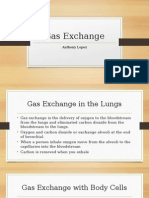 Gas Exchange