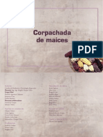 Choque Vilca - Maices Del Noa PDF